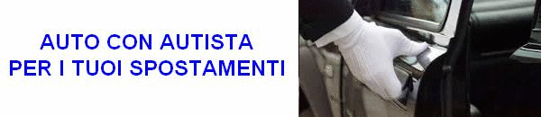 auto con autista