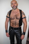 STEVE