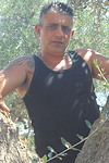 STEFANO